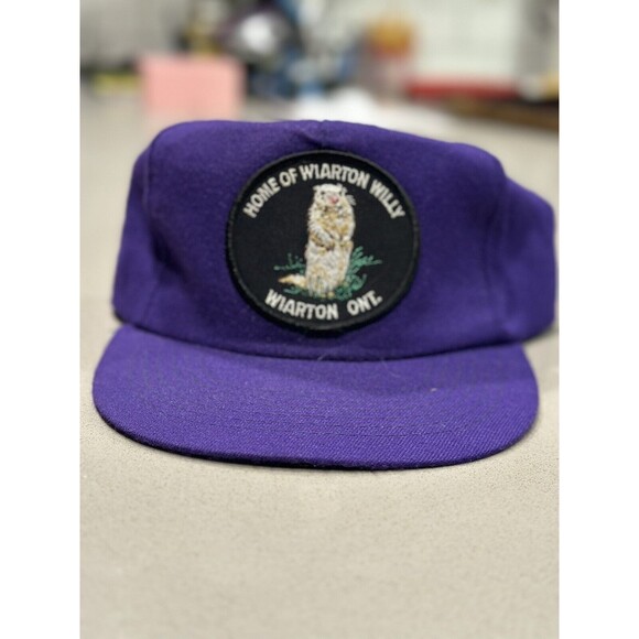 Vtg Wiarton Willie Canadian Groundhogs Day Purple Hat 90s - Picture 1 of 3